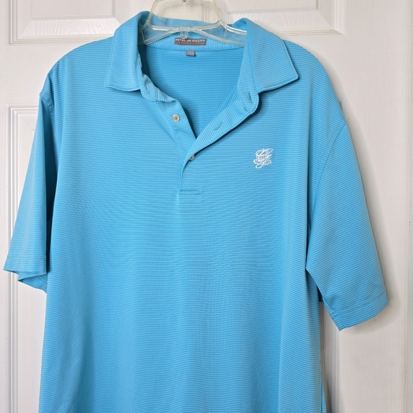 Peter Millar Other - Men's Peter Millar Turquoise Stripe Short Sleeve Polo Shirt L
